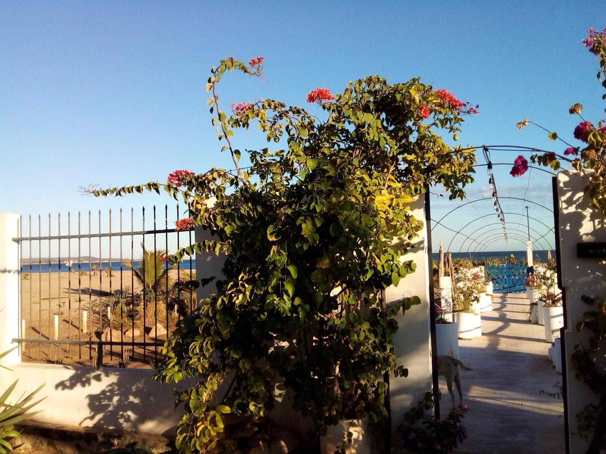 Cytyz Appart Hotel Mahajanga Exterior photo